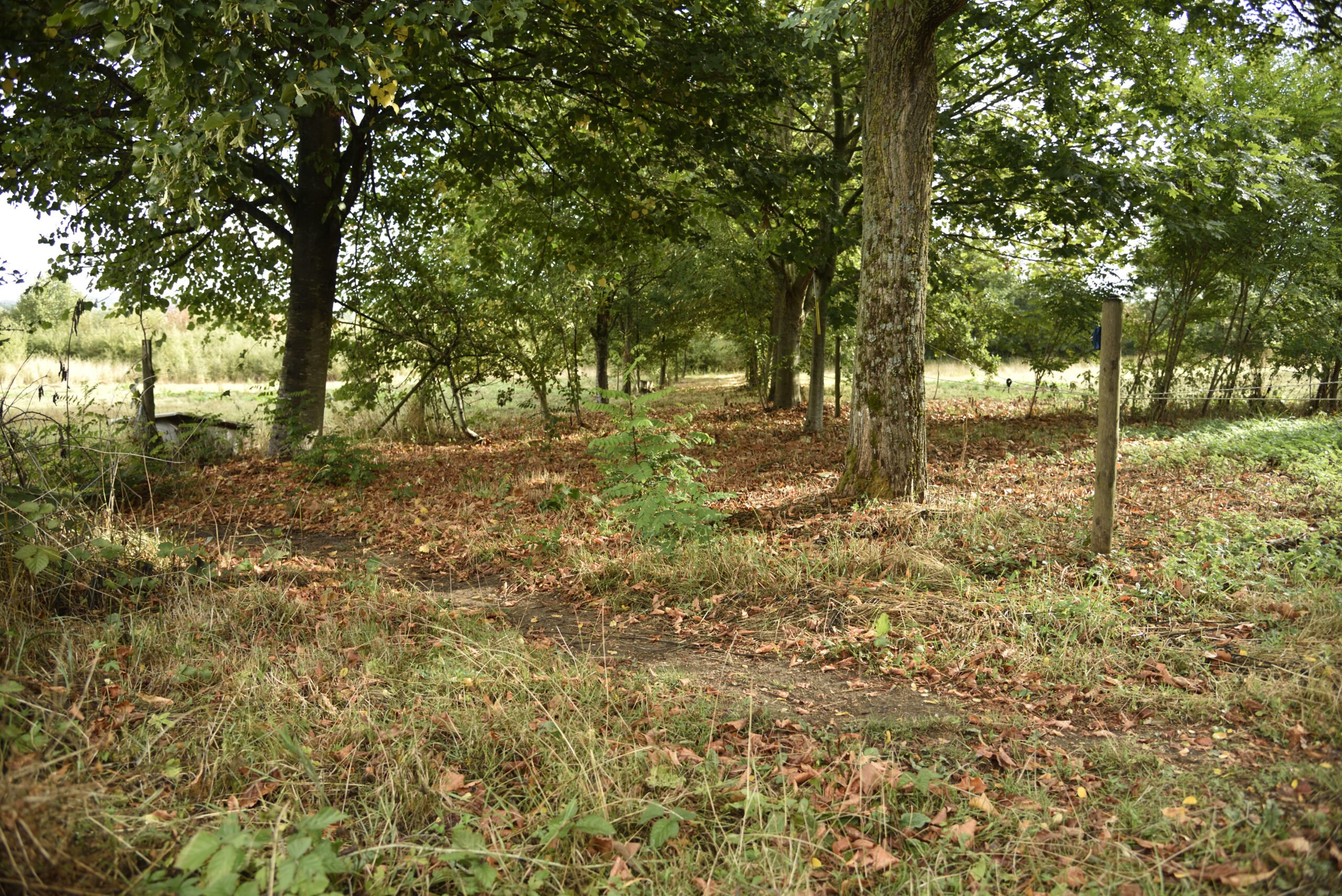 Focale 24mm - f/4 - 1/200 - ISO 159